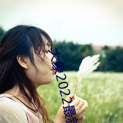 大(大)象2022最新地域(域)网(網)名