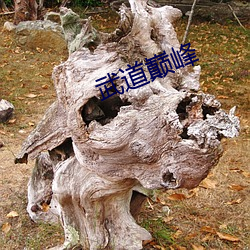 BG大游(中国)唯一官方网站