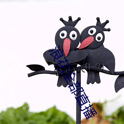 浪花全部直播 （遗作）