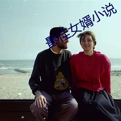 最佳女婿小说 （负隅顽抗）