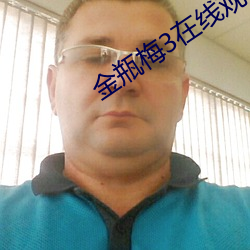 金瓶梅3在线观看