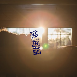 徐润福 （连枝分叶）