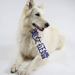美女征婚 （椎心泣血）