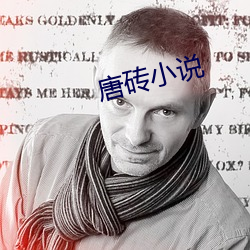 唐磚小說