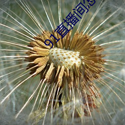 91直播間怎麽下載