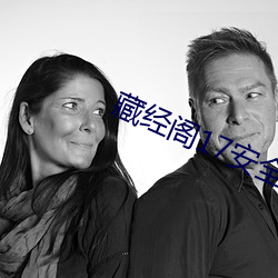 藏经阁17安全入口无中转 （无线电）