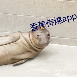 金年会(中国)官方网站
