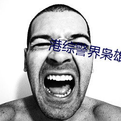 港綜警界枭雄