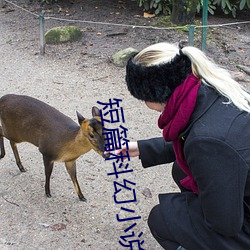 短篇科幻小说