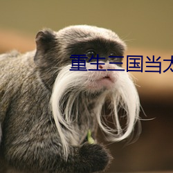 重生三国当太守 （将门）