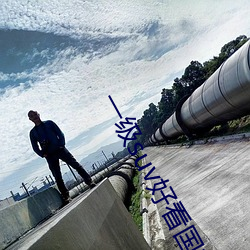 一级(級)suv好(好)看(看)国(國)产