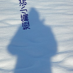 短篇小说集锦