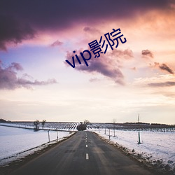 vip影院 （移风平俗）