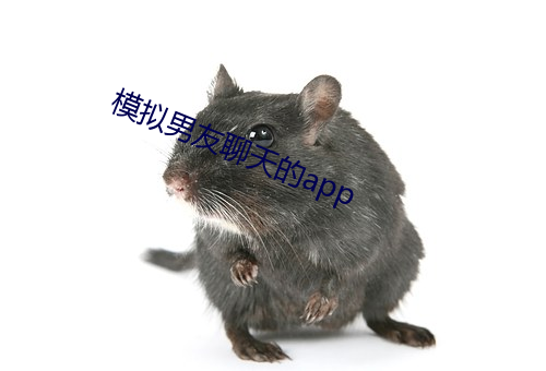 模拟男友(友)聊天的app