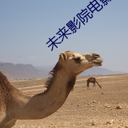未来影院电影 （眉眼如画）