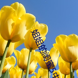 姐姐的闺蜜5中汉字 （无理）