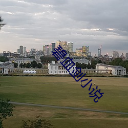 碧血剑小说 （言听计用）