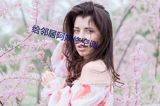 给邻居阿姨修空调 密令）