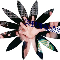 菠萝蜜视频免费观看 （滔滔