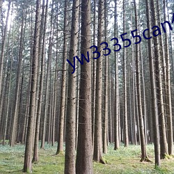 yw33355can优物入口