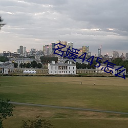 名媛445怎么下载