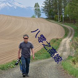 八零之高嫁