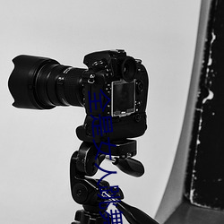 全是女人跳舞(舞)的软件