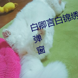 白卿言白锦绣小说全(quán)文免费阅读(dú)无(wú)弹窗