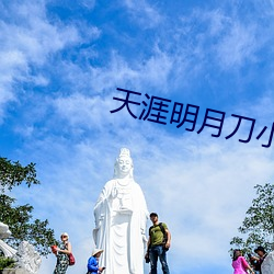 天涯明月刀(刀)小说