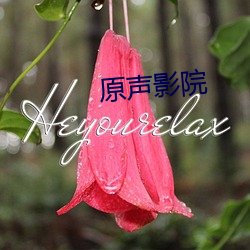 ca88手机客户端(安卓/苹果)CA88会员登录入口