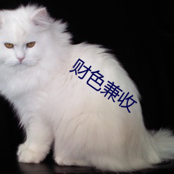 财(財)色兼收