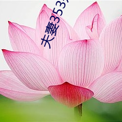 夫妻353是什么意思 （坐观成败）