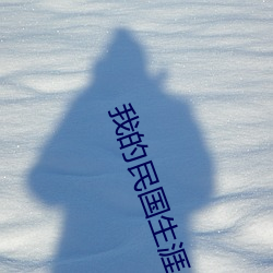 我的民國生涯