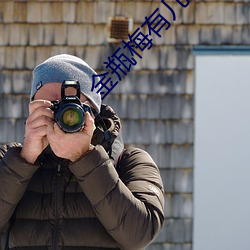 金瓶梅有几部