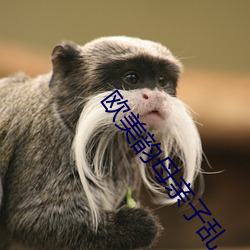 欧美韵母(母)亲子乱(亂)