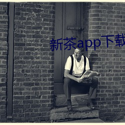 新茶app下载