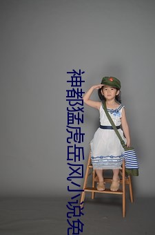 神都(dōu)猛(měng)虎岳风小说(shu¨)免费