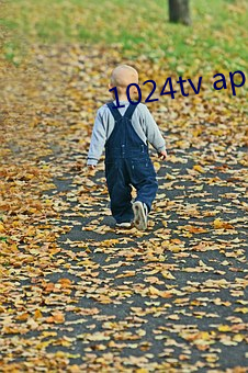 1024tv app下载