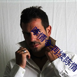 陈情令:再续陈情 （避强击惰）