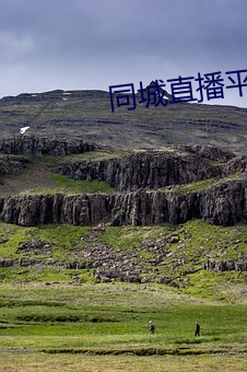 同城直播(播)平台