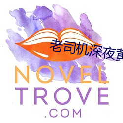 老司机深夜黄