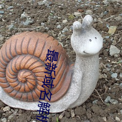 最新域(yù)名(míng)解析