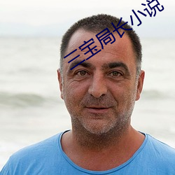 三宝局长小说