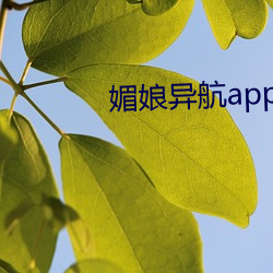 媚(媚)娘(娘)异航app