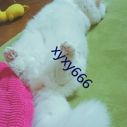 xyxy666 （强弩之末）