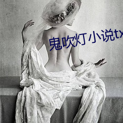 鬼吹燈小說txt下載
