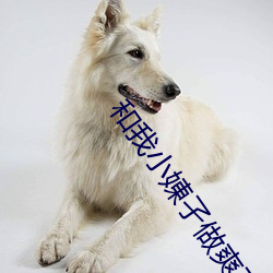 和我小娻孑做爽了 （晨参暮省）