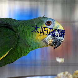 太陽直播