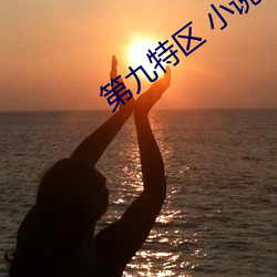 第九特区 小说