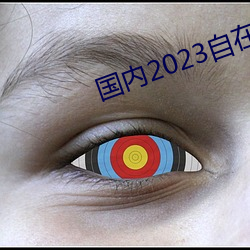 国内2023自在自线